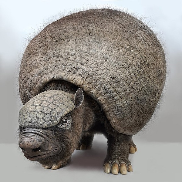 glyptodont