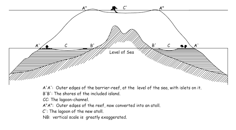emergence of coral reefs
