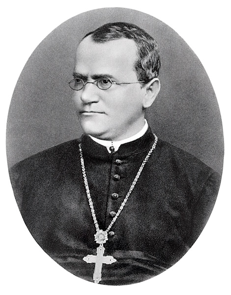 Gregor Mendel