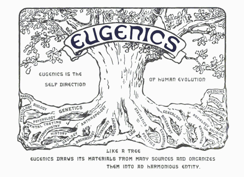 the eugenics tree