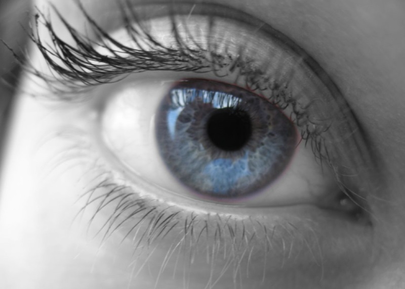 the human eye