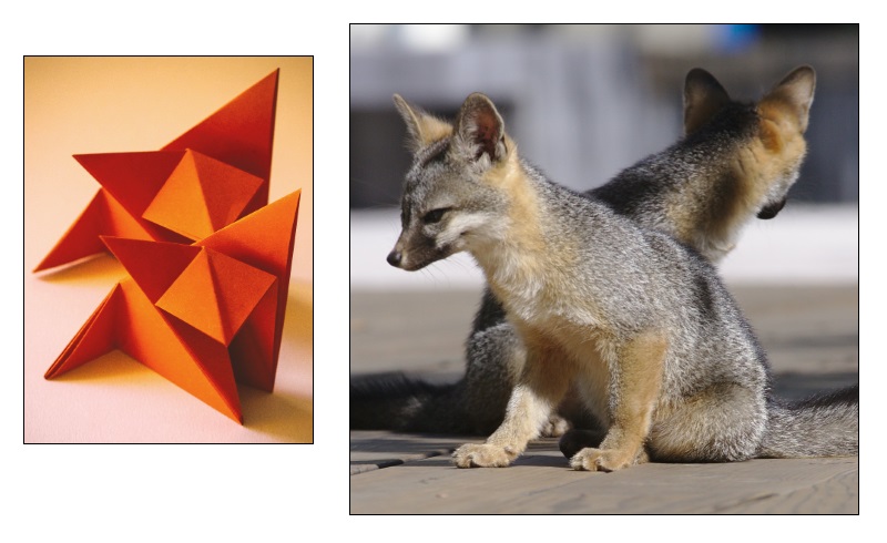 nature imitates humans?