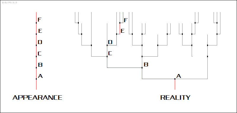 branching evolution