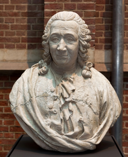 Carolus Linnaeus