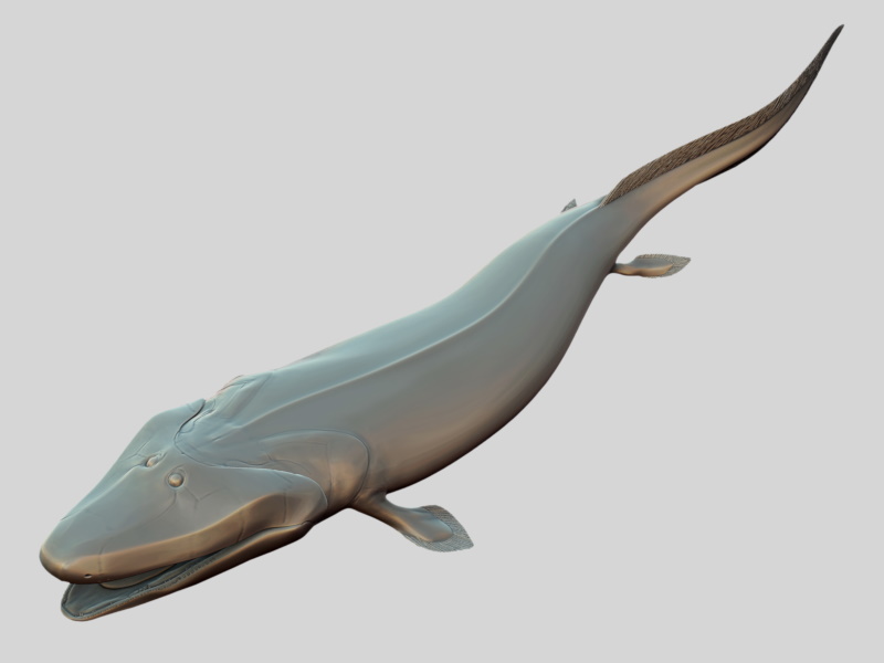 tiktaalik