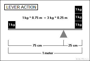 lever action
